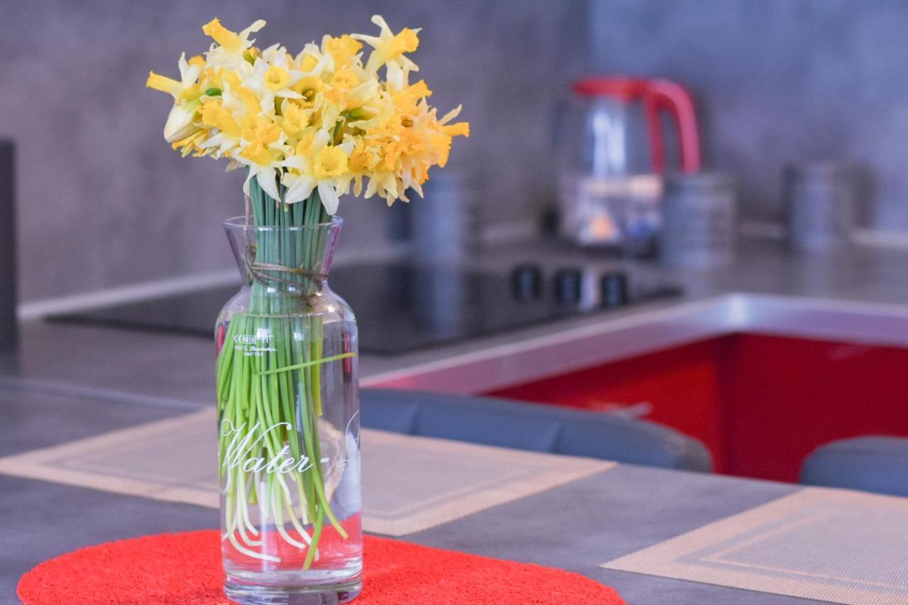 Appartement "Le Terminus " Gare-Cosy-Wifi 6 Personnes 생캉탱 외부 사진